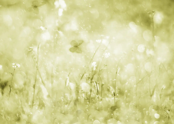 Canvastavla - Morning Meadow