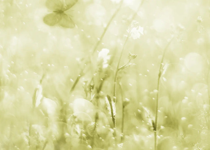 Canvastavla - Morning Meadow
