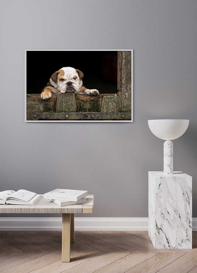 Poster - Stay Out