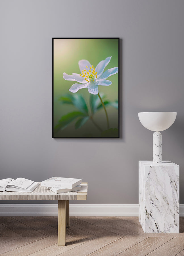 Poster - Softly