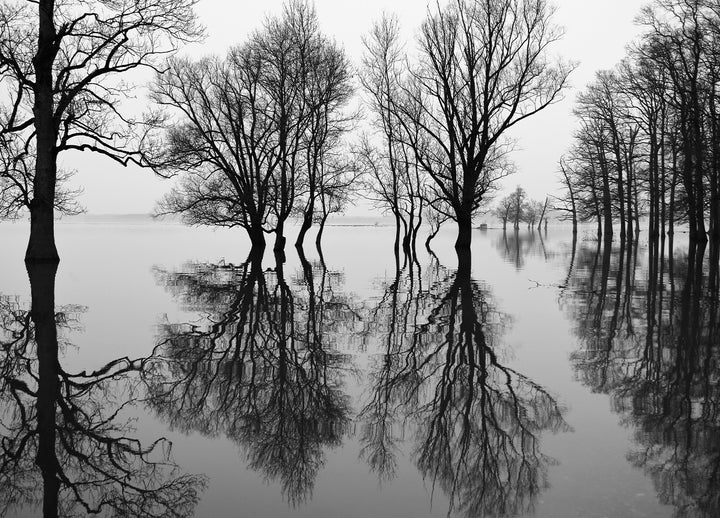 Canvastavla - Flood