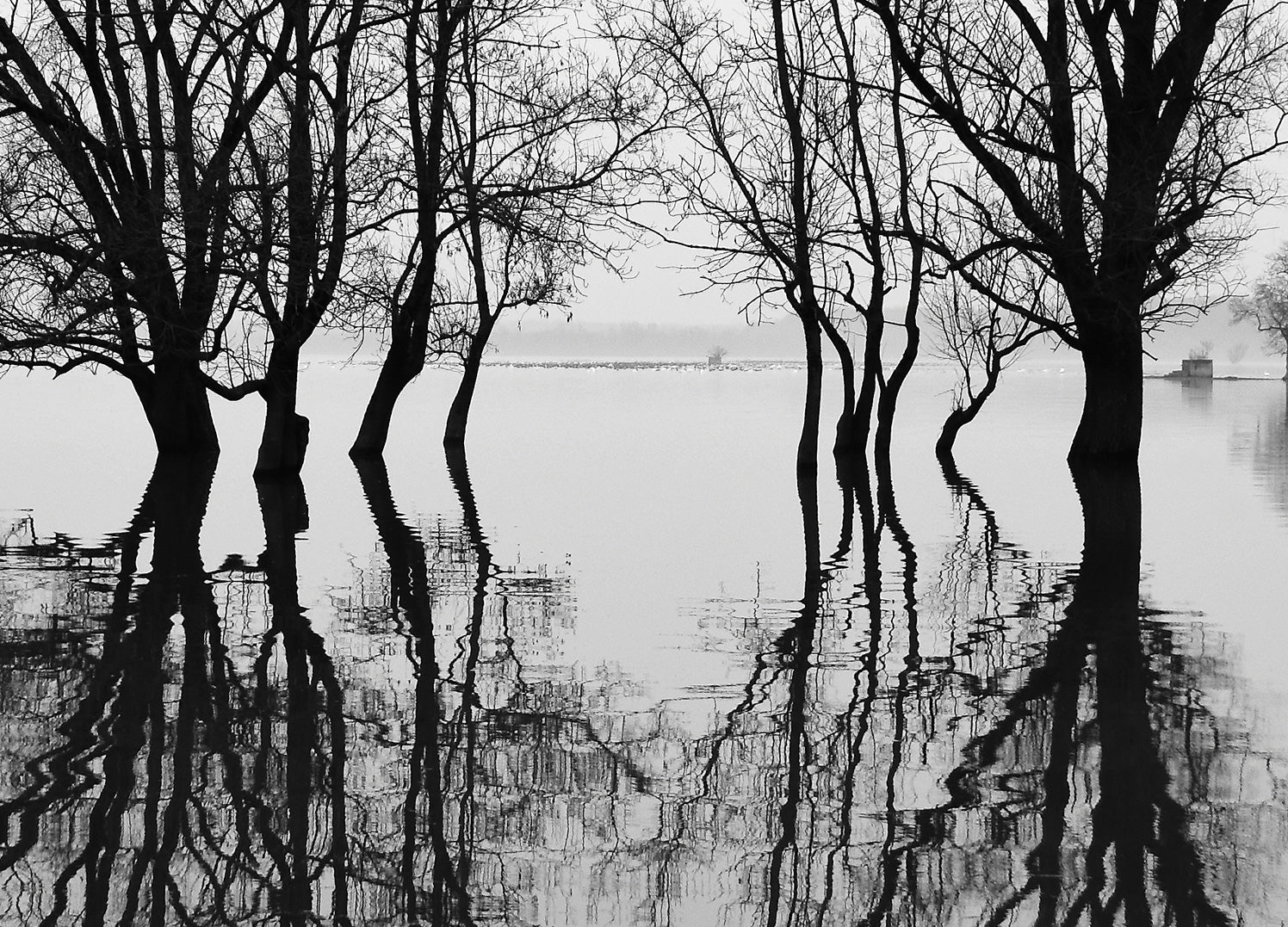 Canvastavla - Flood
