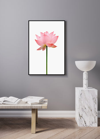 Poster - Flower