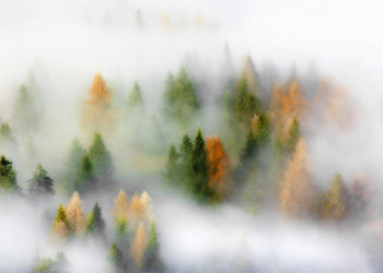 Canvastavla - Winter's Vail