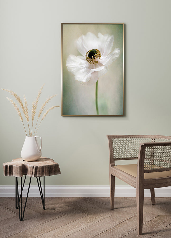 Poster - Newly