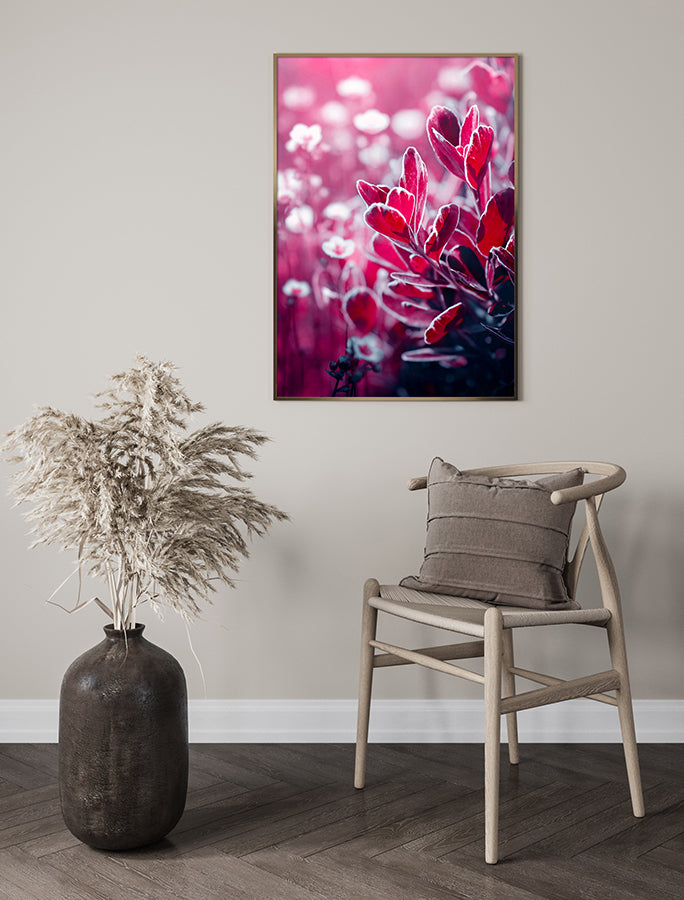 Poster - Wonderly