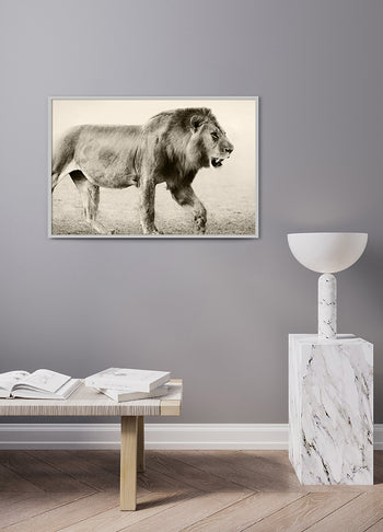 Poster - Botswana