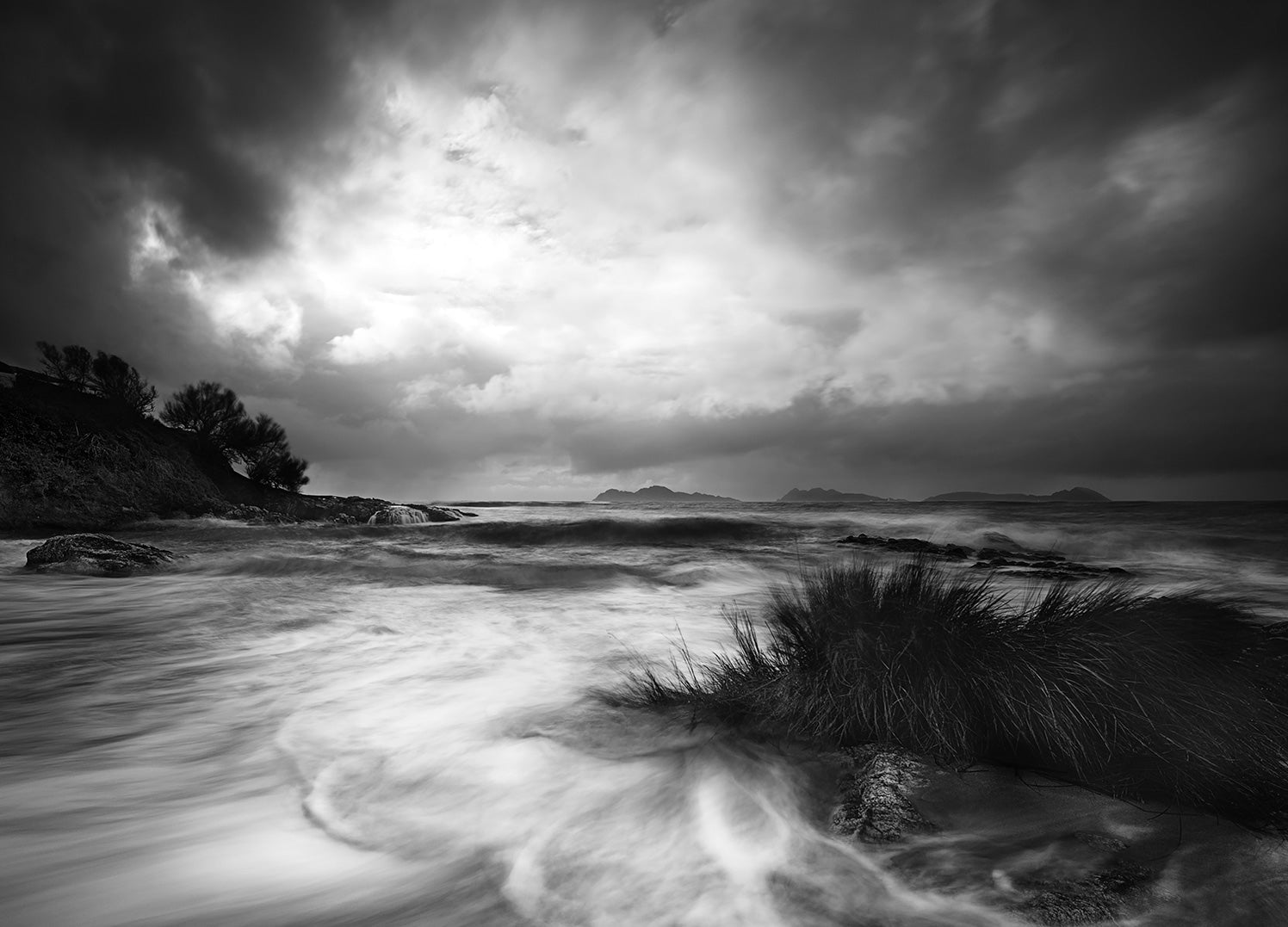 Canvastavla - Rushes In The Sea