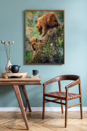 Poster - Baloo