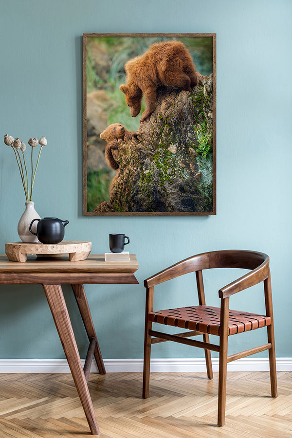 Poster - Baloo