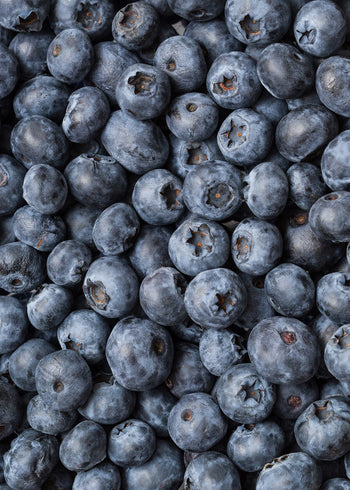 Canvastavla - Blueberry