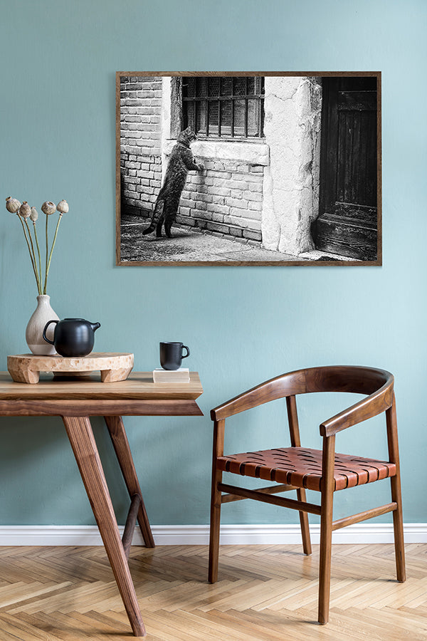Poster - Seeking