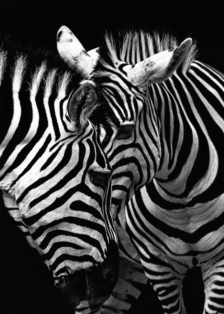 Canvastavla - Stripes