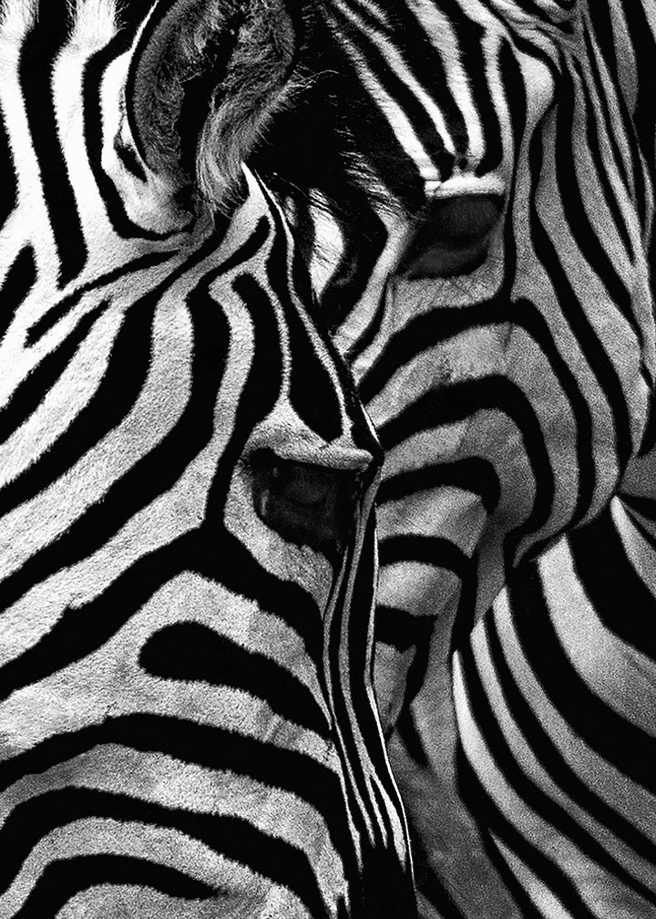 Canvastavla - Stripes