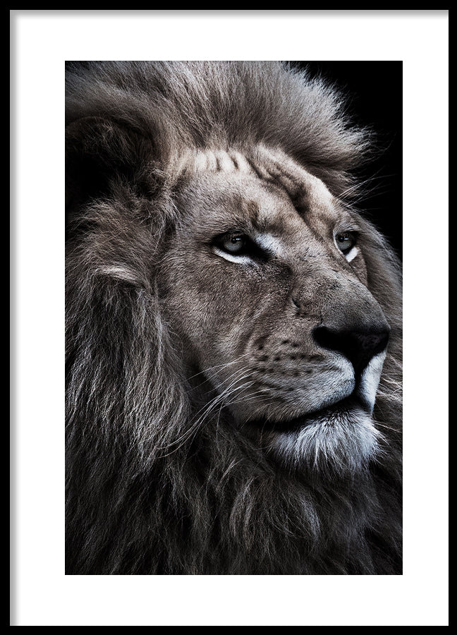 Poster - Beast