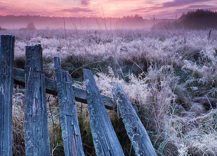 Canvastavla - Winter Morning