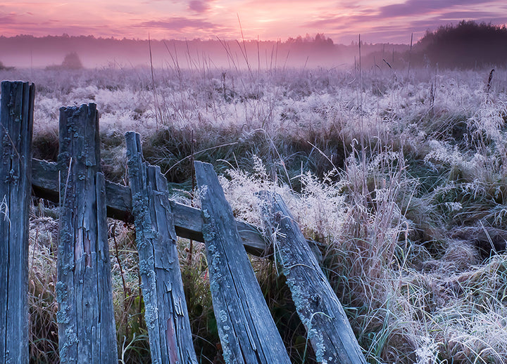 Canvastavla - Winter Morning