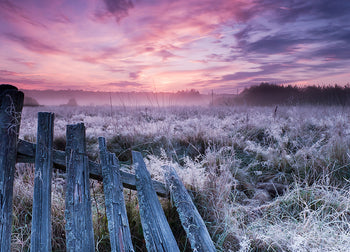 Canvastavla - Winter Morning