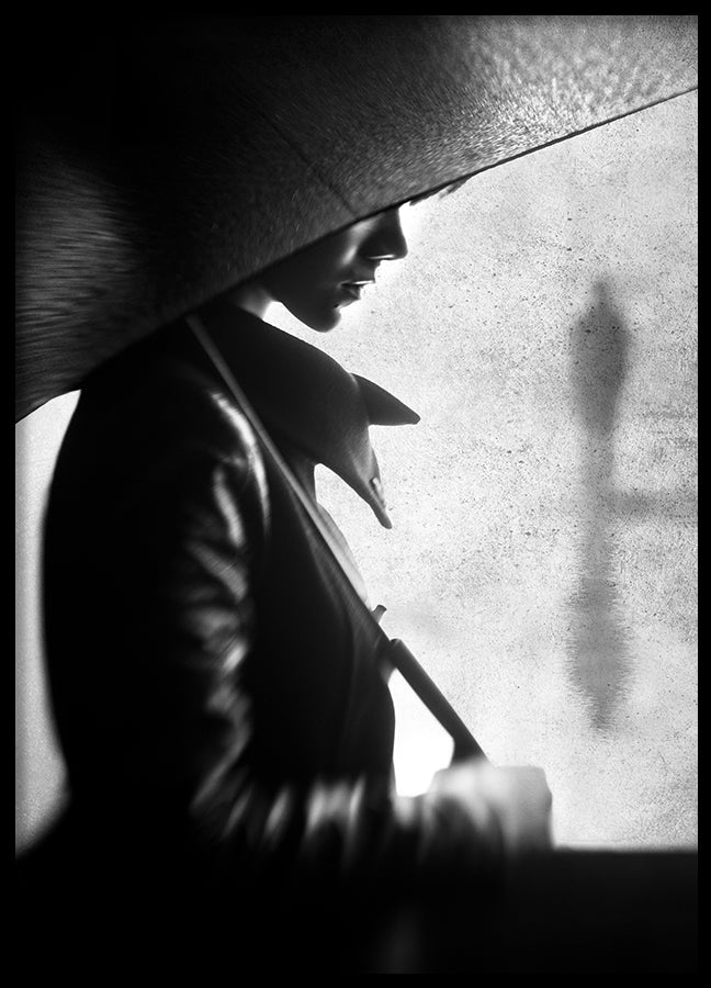 Poster - Mystery