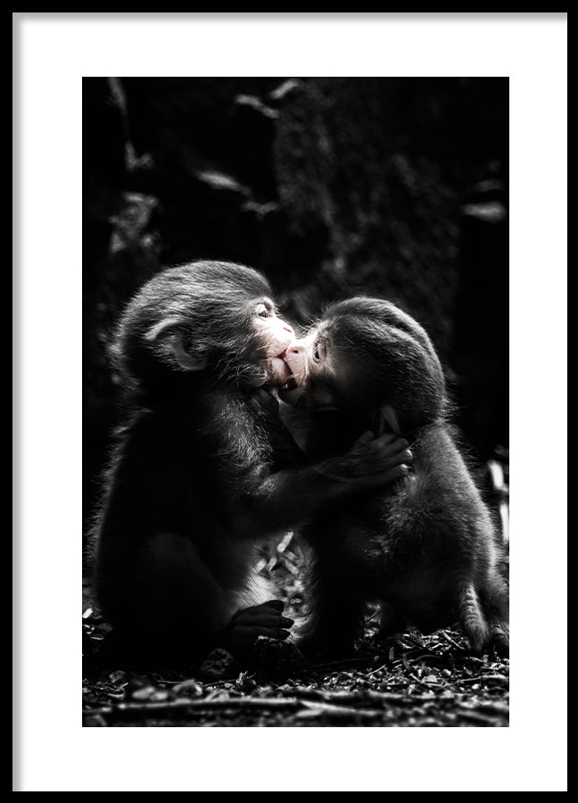 Poster - a little love story