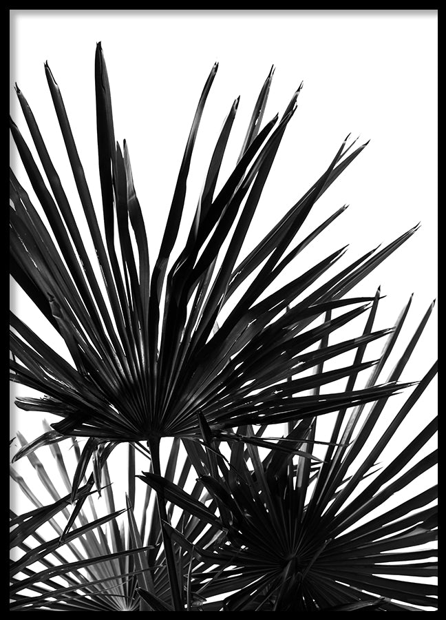 Poster - Windless