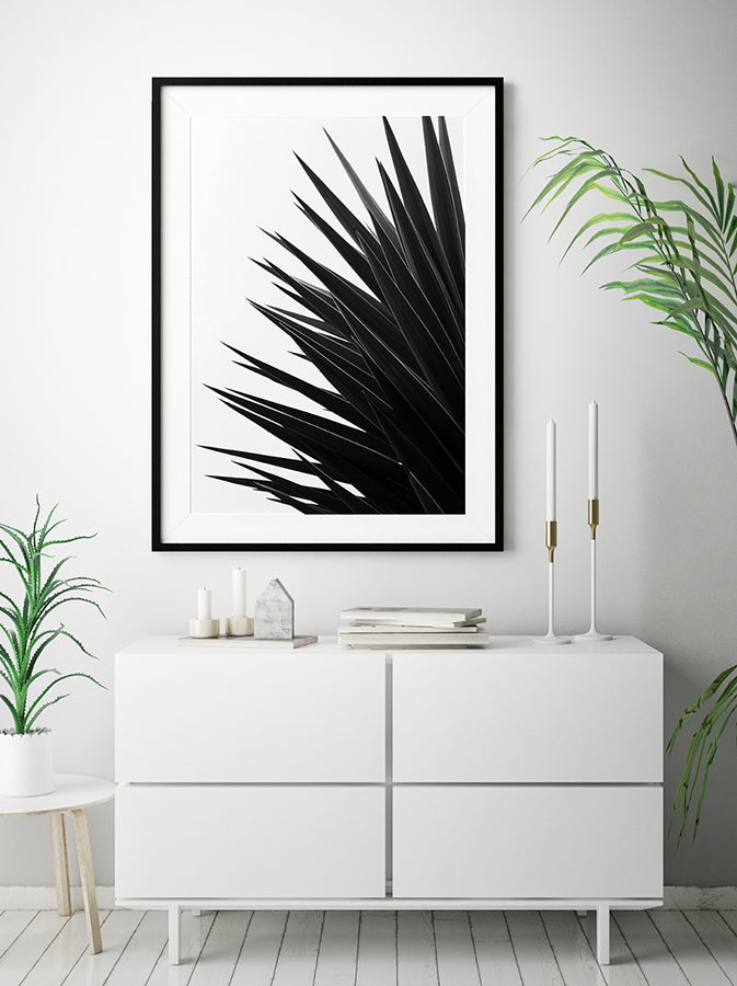 Poster - Black Palm