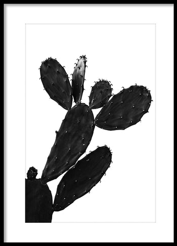 Poster - Kreta