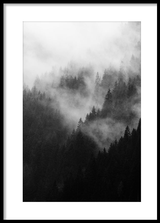 Poster - Misty