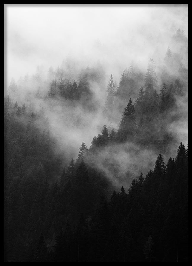 Poster - Misty