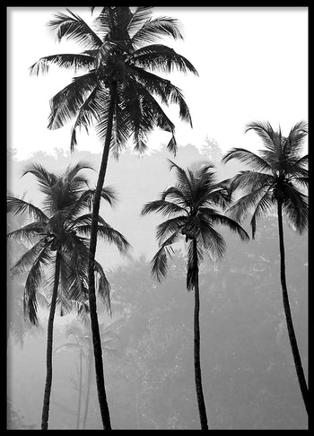 Poster - Maui