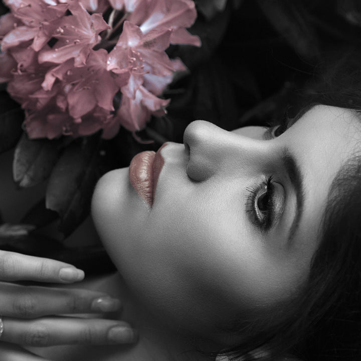 Canvastavla - Lily of the Nile