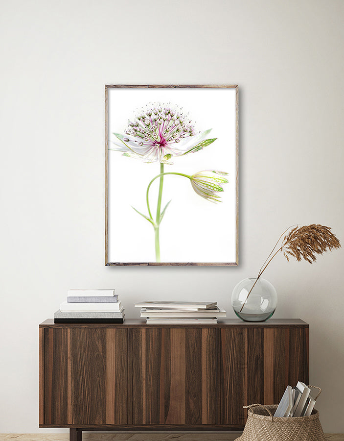 Poster - Motley