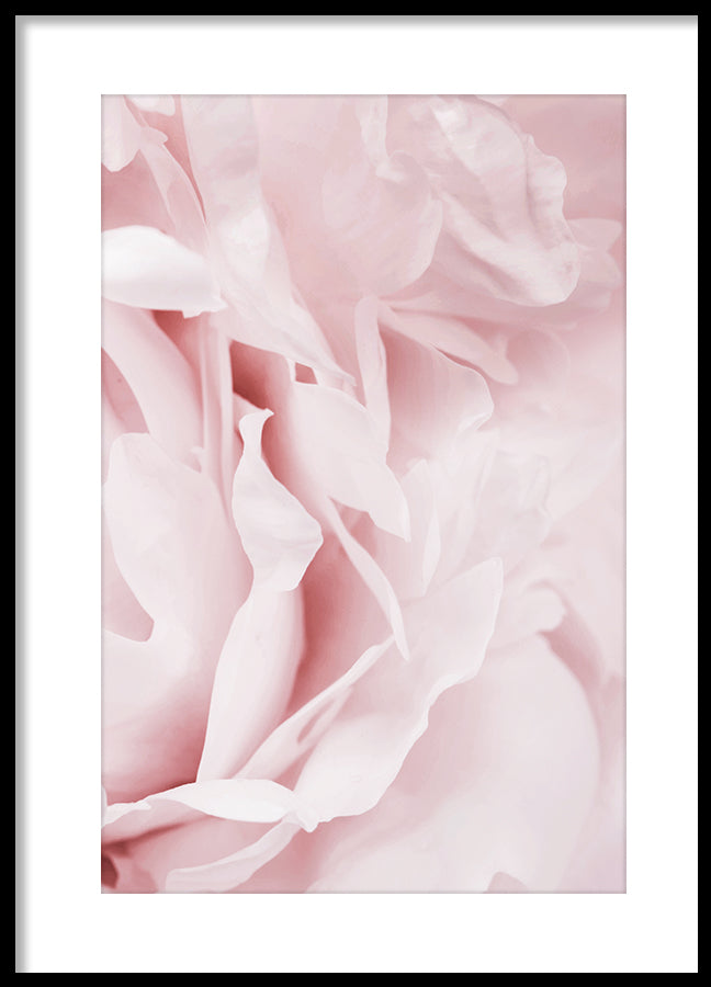 Poster - Garden