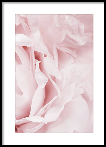Poster - Garden