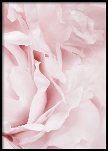 Poster - Garden