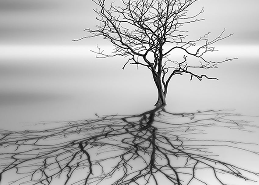Canvastavla - Even the dead cast shadows