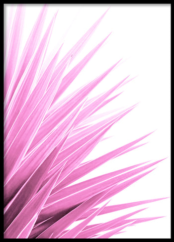 Poster - Fresh