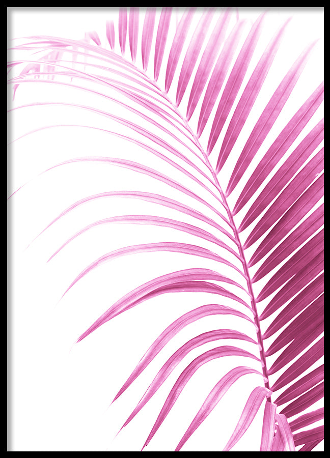 Poster - Brazen