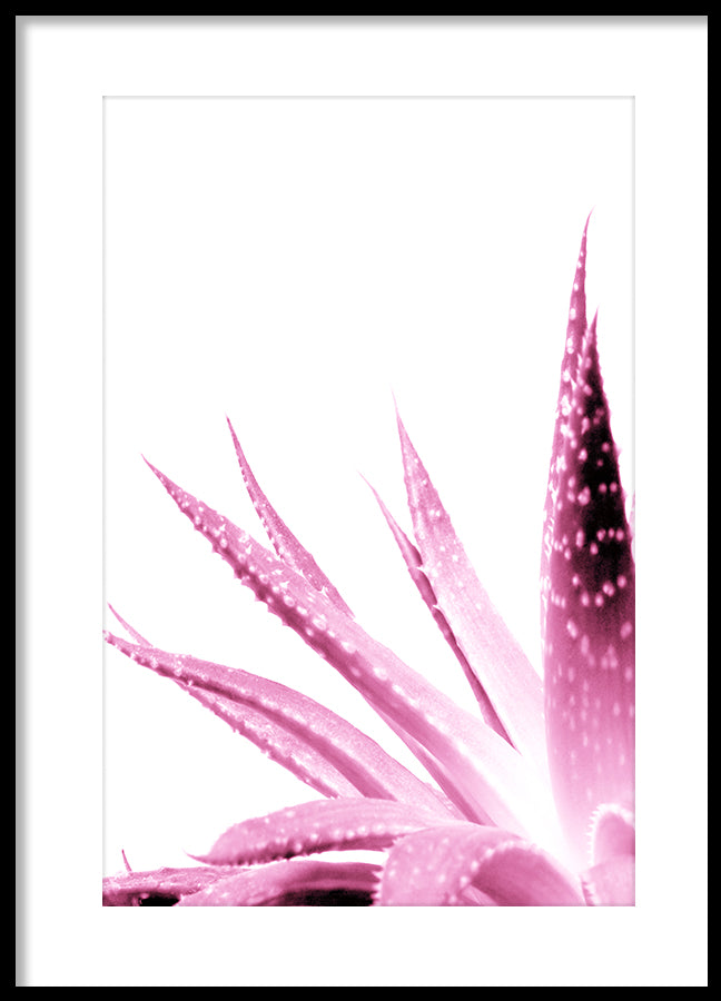 Poster - Spring Leafs