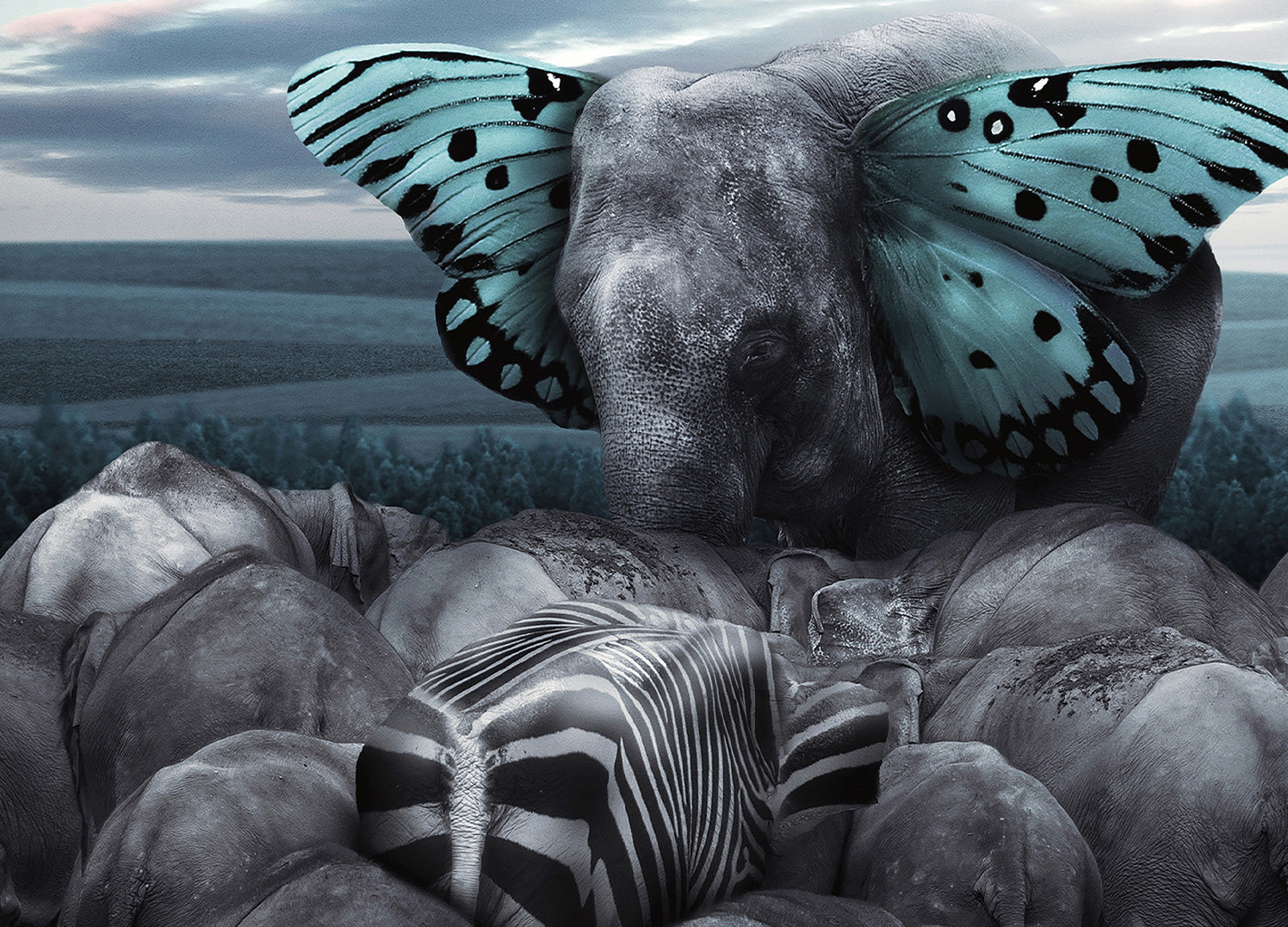 Canvastavla - Fly on Wings of Dreams