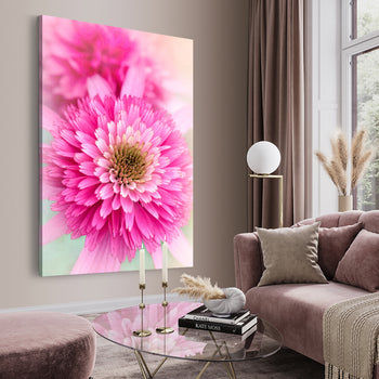 Tavla - Carnation