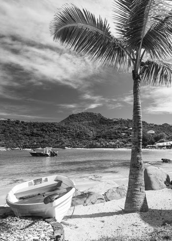 Canvastavla - West Indies