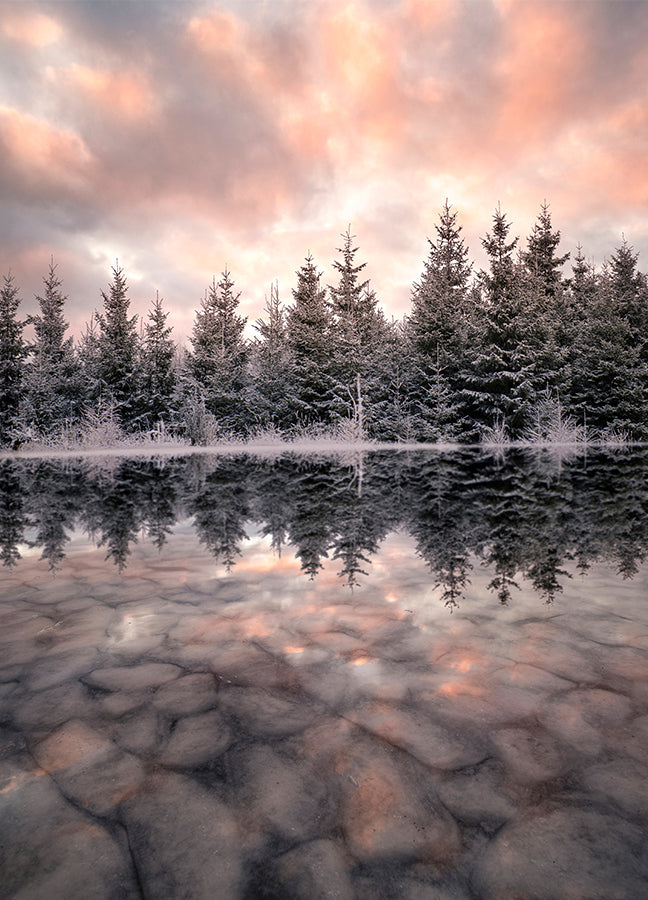 Poster - Wintry