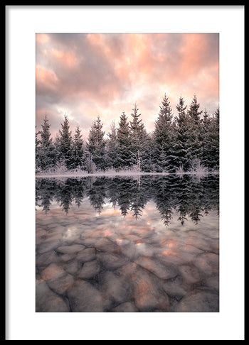 Poster - Wintry