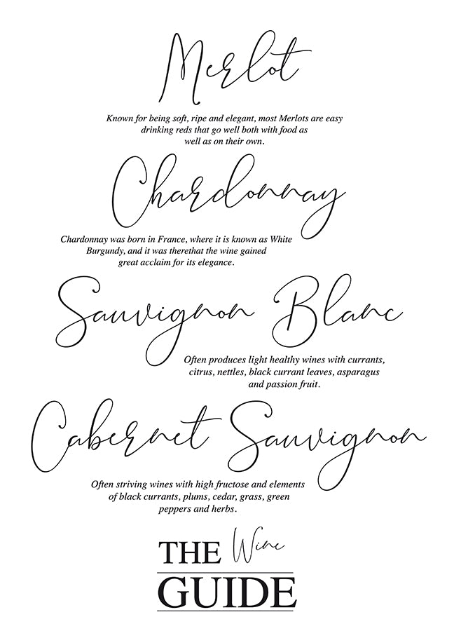 Poster - The wine guide