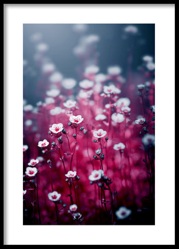 Poster - Royal flowers