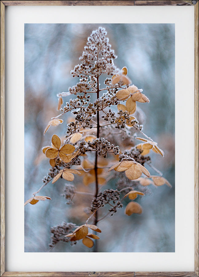Poster - L'automne