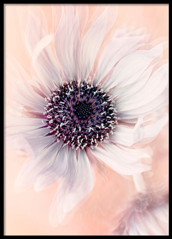 Poster - Baby pink