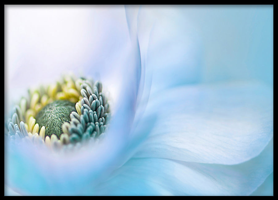 Poster - Lovely blossom
