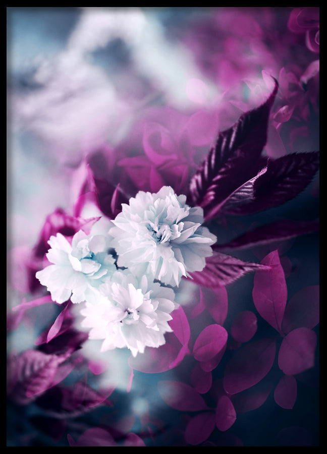 Poster - Purple and white